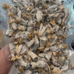 Penis Envy Magic Mushrooms