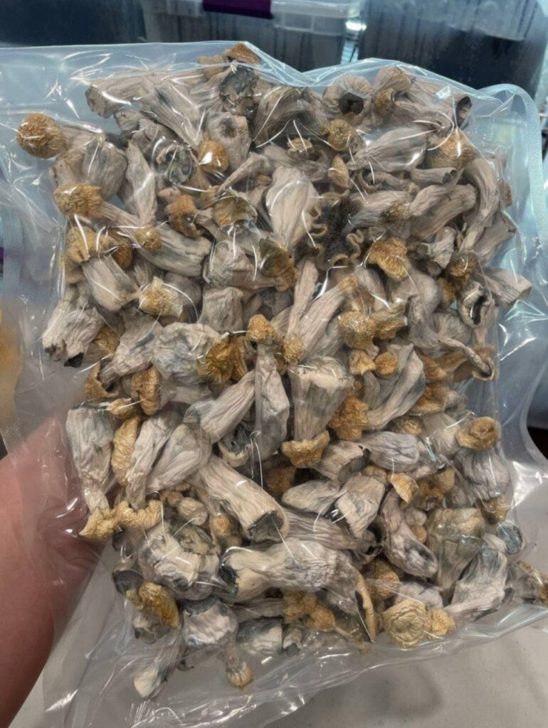Where to Buy Psychedelics in Sydney