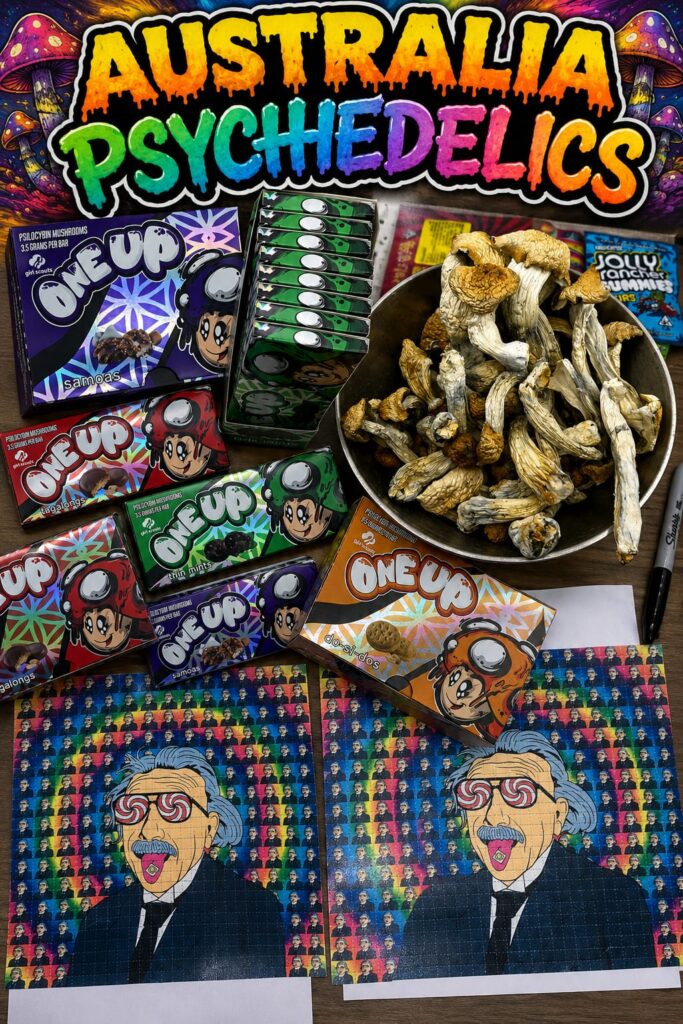 What Are the Most Common Psychedelics?