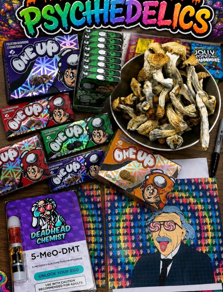 How to Legally Access Psilocybin Therapy in Melbourne