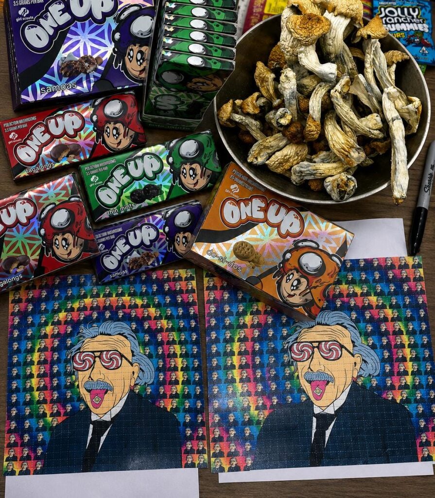 Ayahuasca Retreat Australia